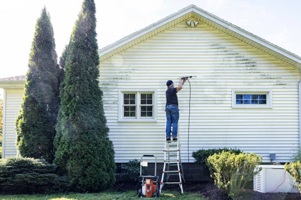 Best Patio and Deck Pressure Washing  in High Rolls, NM